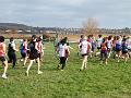 DSCF6841
