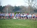 DSCF6963