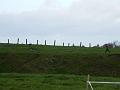 DSCF4378
